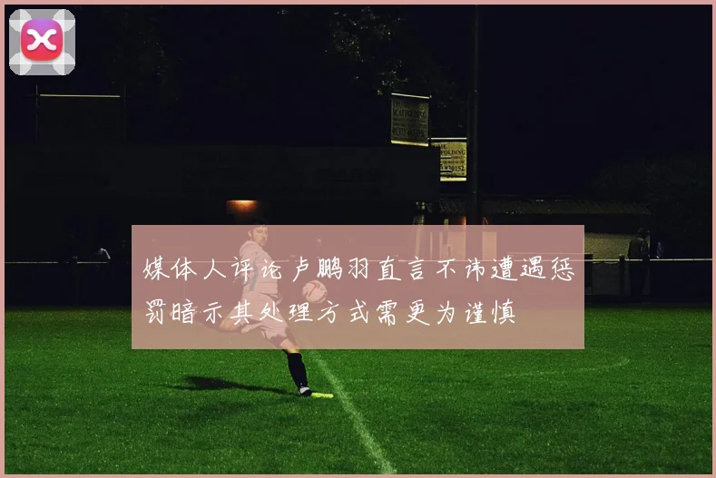 媒体人评论卢鹏羽直言不讳遭遇惩罚暗示其处理方式需更为谨慎
